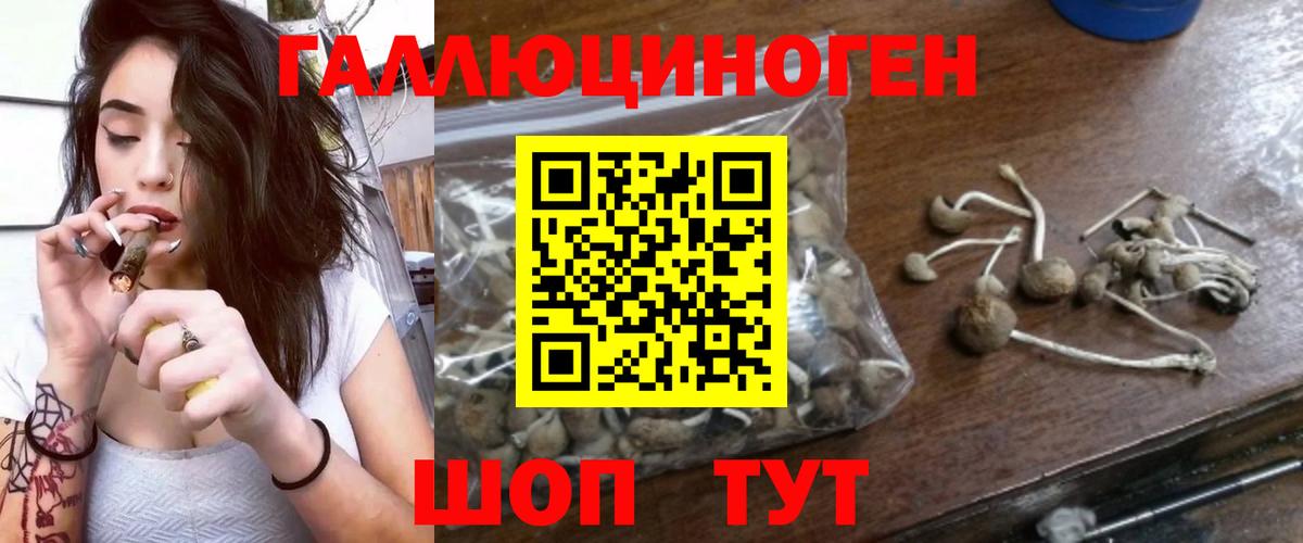 Галлюциногенные грибы Cubensis  Вход с VPN  Павловский Посад 