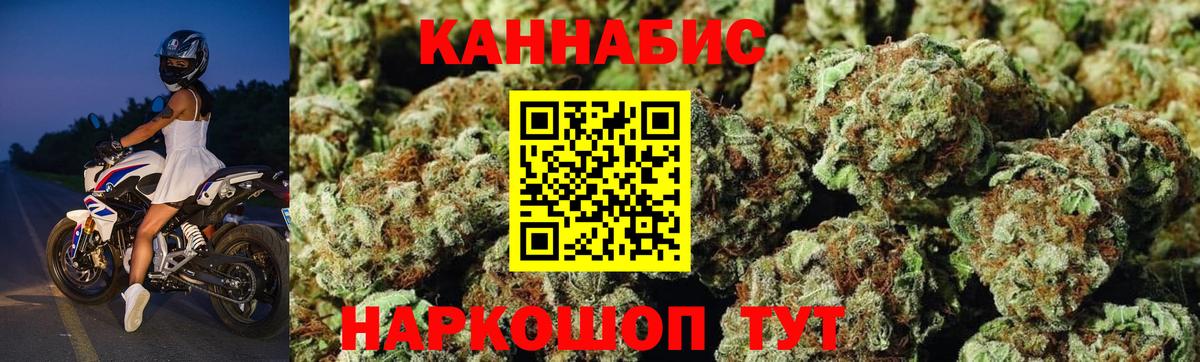 МАРИХУАНА гибрид Павловский Посад